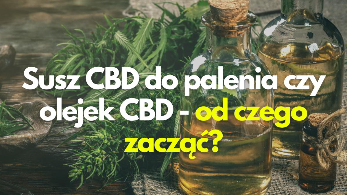 Susz-CBD-do-palenia-czy-moze-olejek-CBD.jpg