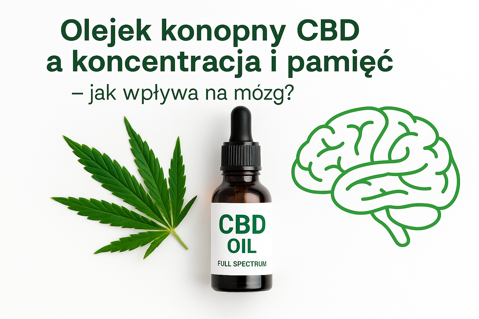 olejek konopny cbd a koncentracja i pamięć