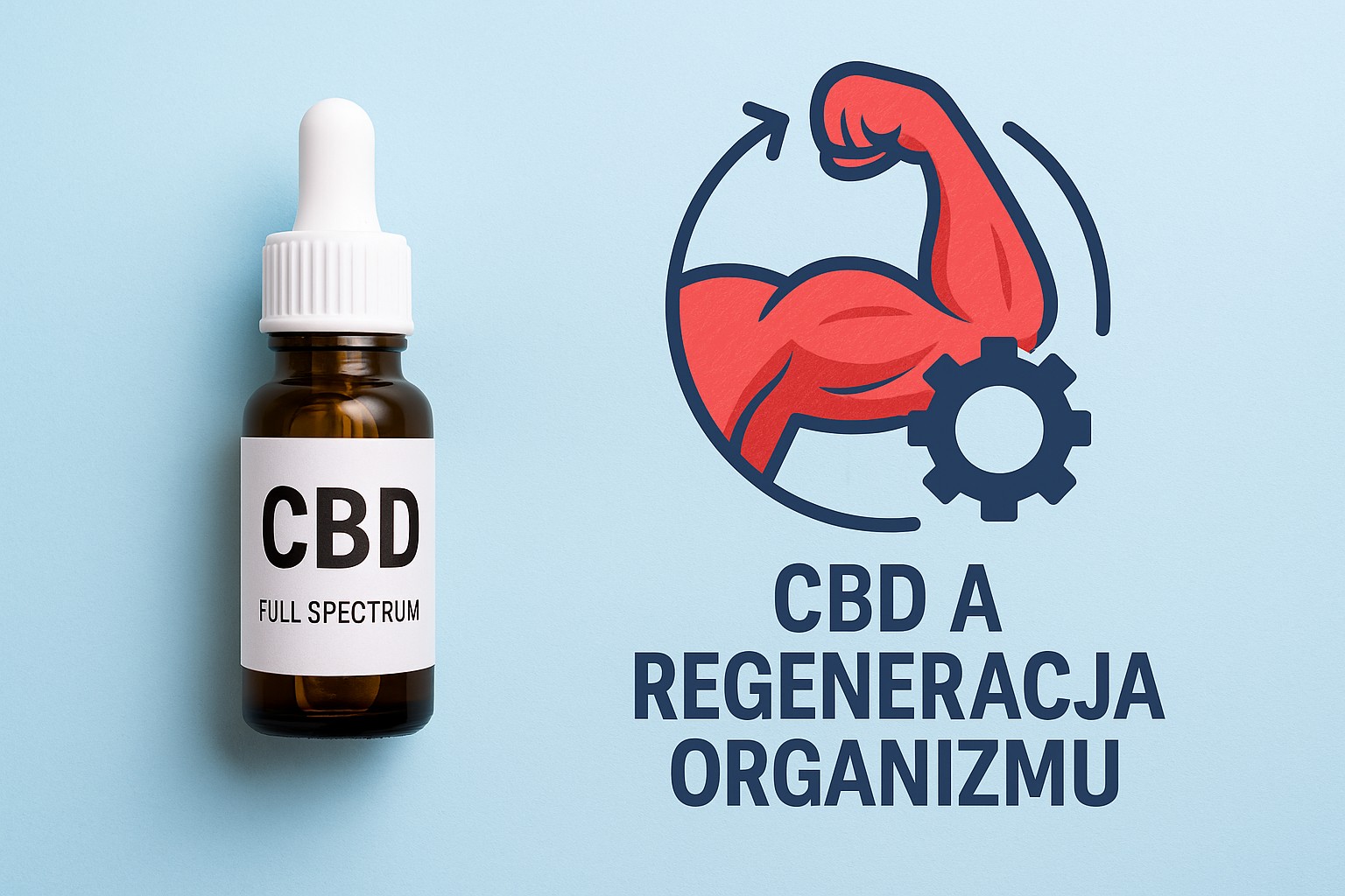 CBD a regeneracja organizmu