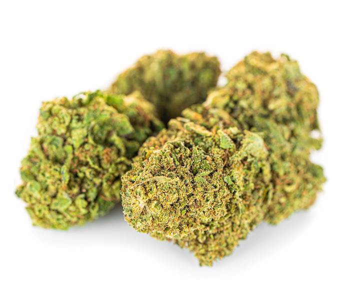 Lemon Haze susz konopny CBD 10g