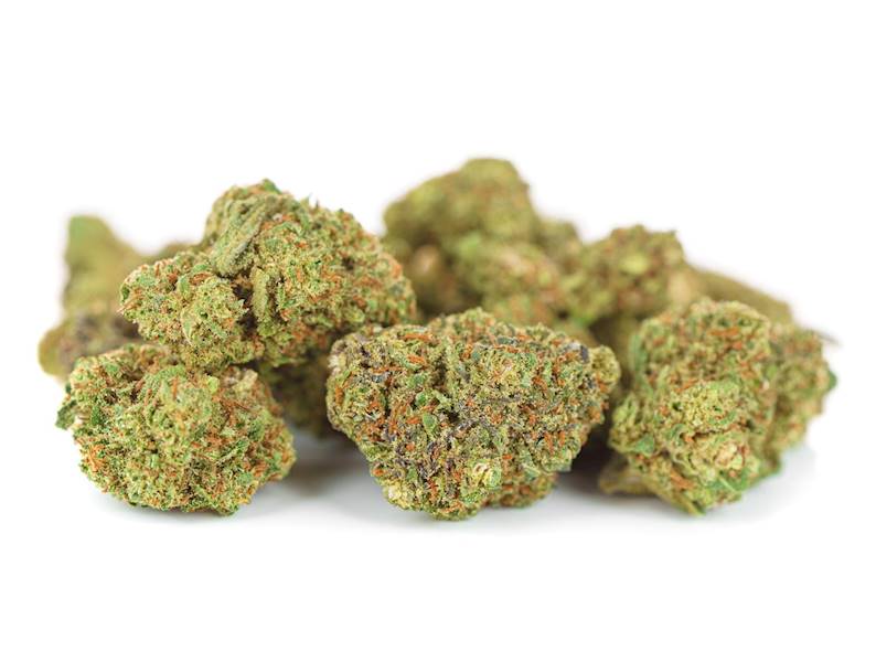 White Widow susz konopny 14% CBD 10g