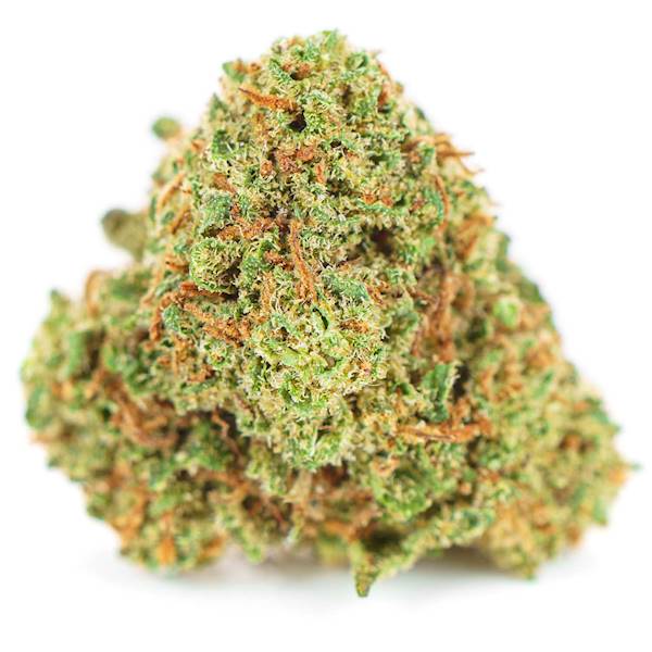 White Widow susz konopny 14% CBD 10g