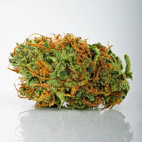 Giga Chad susz konopny 15% CBD 10g
