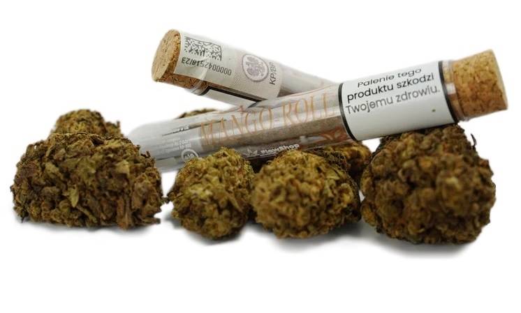 Joint CBD Mango