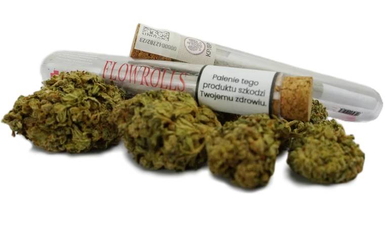 Flow Rolls joint CBD