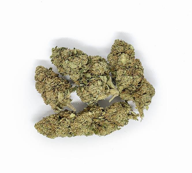 Kwiaty konopi susz CBD 15% Kosher Kush 5g