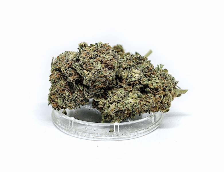 Susz konopny CBD 15% Super Jamaica 5g