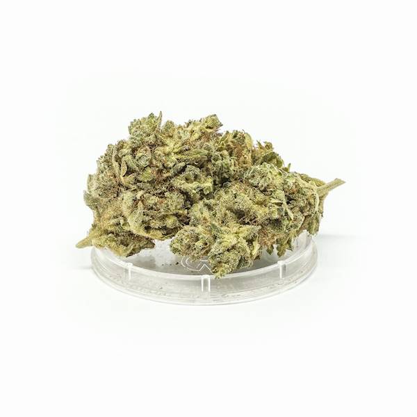 Susz konopny o smaku mandarynki Tangerine Dream 5g
