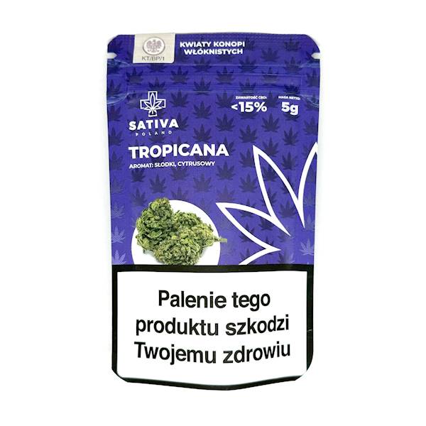 Susz konopny CBD 15% Tropicana