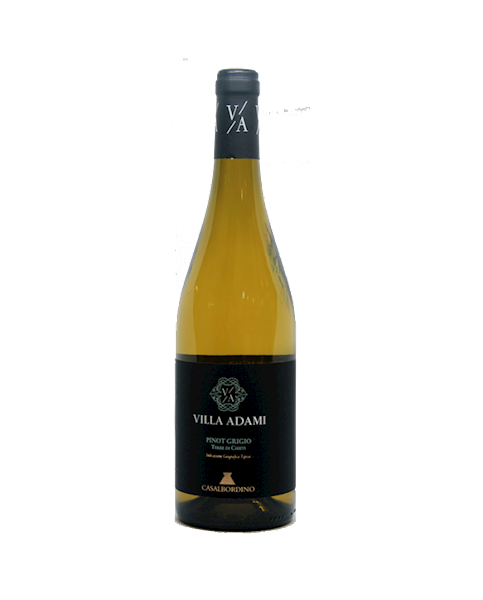 Pinot Grigio Terre di Chieti Villa Adami 0,75 (BW)