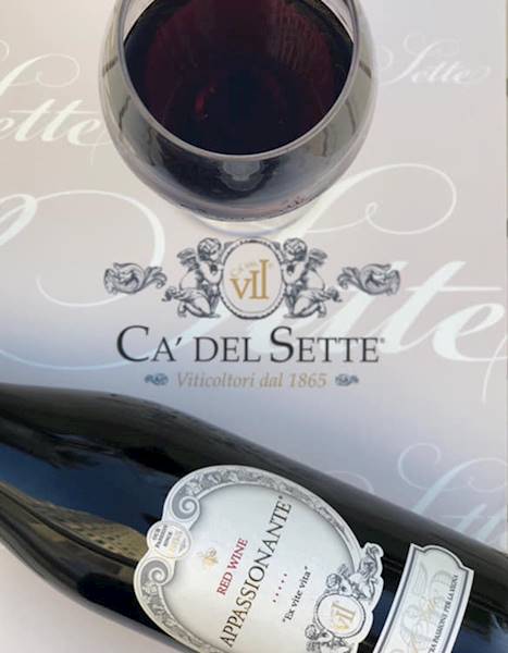 Appassionante Ca' del sette 0,75 (CW)