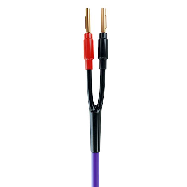 KABEL GŁOŚNIKOWY MELODIKA PURPLE  MDSC4040-4 M 