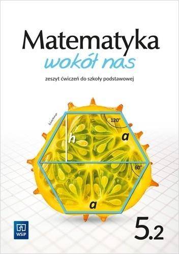 Matematyka Wokół nas SP 5/2 ćw. WSIP Kiwano