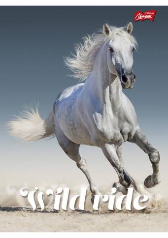 kołozeszyt A5   80K kratka ST Wild ride