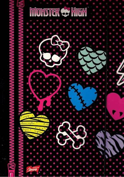 teczka z gumką A4 zw Majewski Monster High