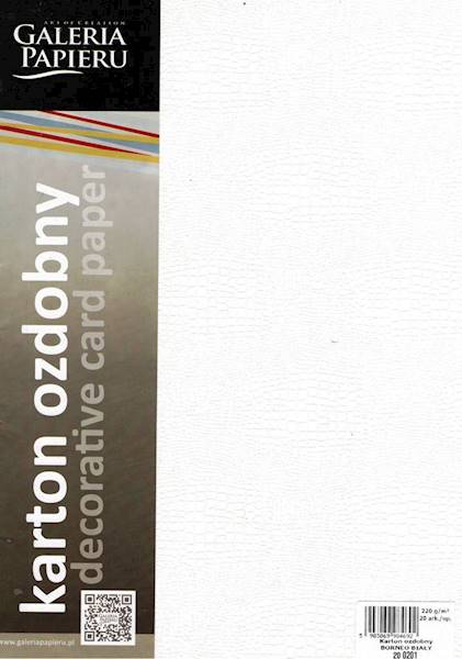 Karton ozdobny GP BORNEO biały 220g  20 arkuszy
