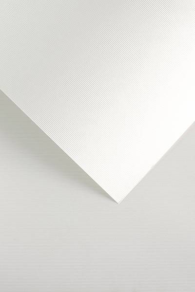 Karton ozdobny GP LINIE biały 230g 20 arkuszy
