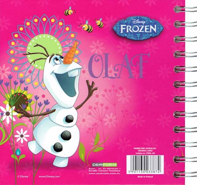 pamiętnik DERFORM spiralny Kraina Lodu Frozen