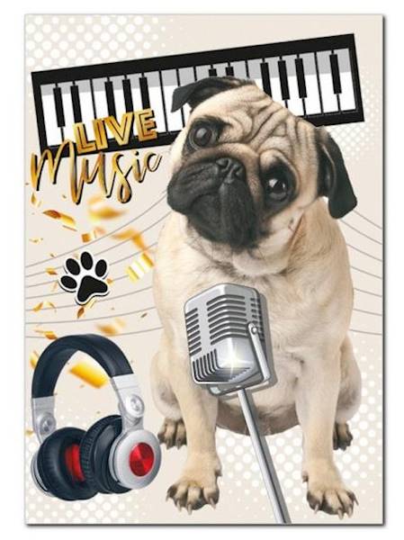 Teczka z gumką A4 PM 672 Zwierzęta Pies Live music