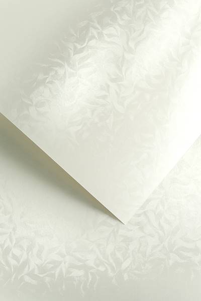 Karton ozdobny GP OLYMPIA perłowa biel 220g 20 ark