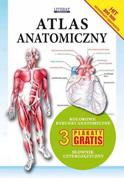 Atlas Anatomiczny 3 plakaty gratis Literat