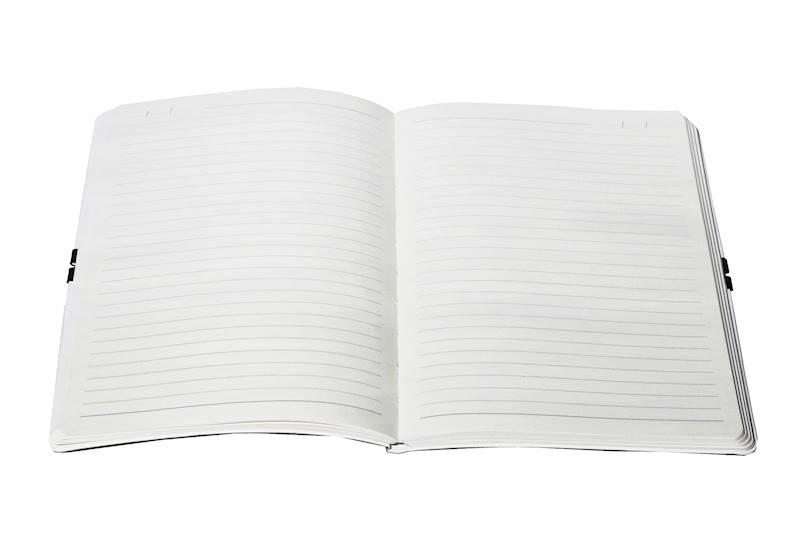 Notes A5 96 kartek Linia Perłowy Antra