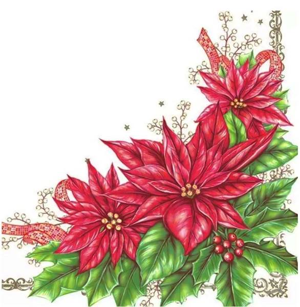 Serwetka POL-MAK Daisy SDGW 004301 Gwiazda Betleje