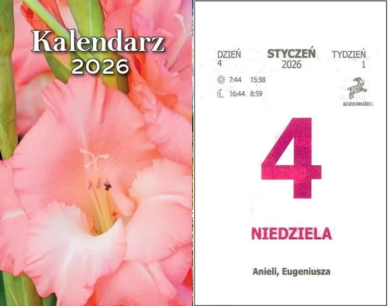 Kalendarz 2026 Artsezon Zdzierak Kwiat