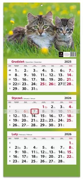 Kalendarz 2026 Artsezon Trójdzielny Kotki