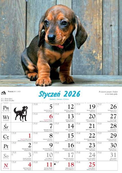 Kalendarz 2026 Lucrum rodzinny Psy domowe WL 8