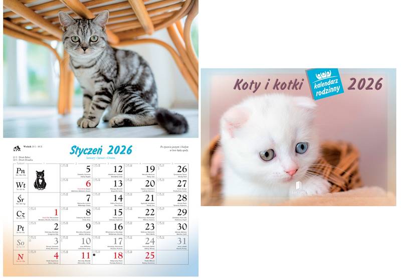 Kalendarz 2026 Lucrum rodzinny Koty i kotki WL 9