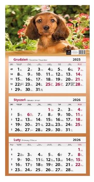 Kalendarz 2026 Artsezon Trójdzielny Piesek