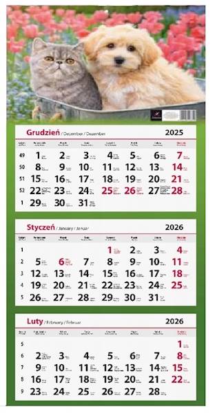 Kalendarz 2026 Artsezon Trójdzielny Kotek i Piesek