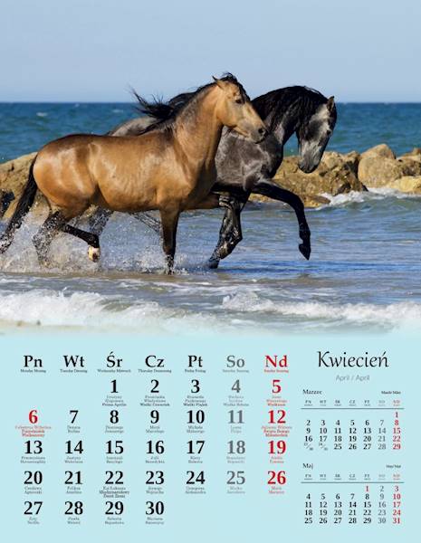 Kalendarz 2026 Artsezon 44x34 Konie