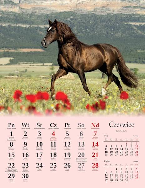 Kalendarz 2026 Artsezon 44x34 Konie