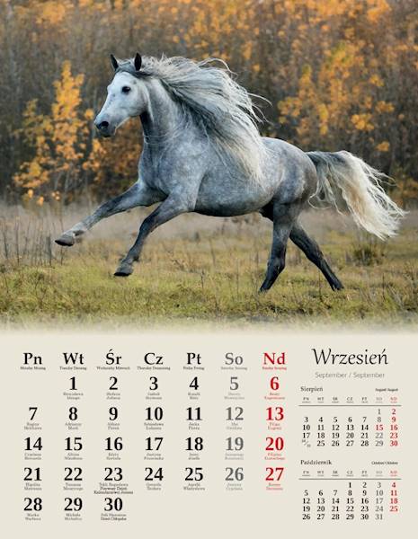 Kalendarz 2026 Artsezon 44x34 Konie