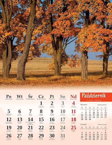 Kalendarz 2026 Artsezon 44x34 Malownicza Polska