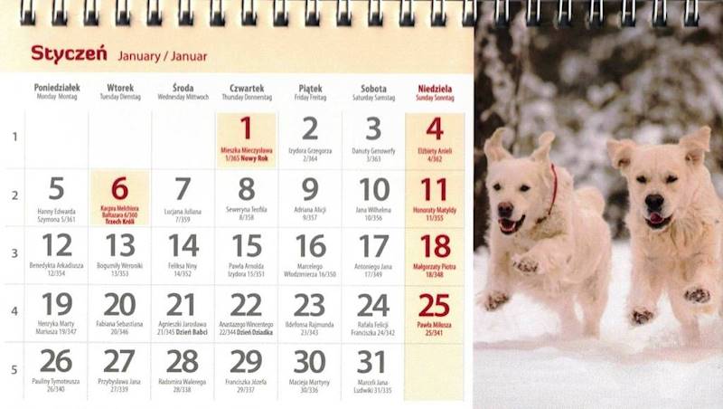 Kalendarz 2026 Artsezon biurkowy 19,5x11 Psy