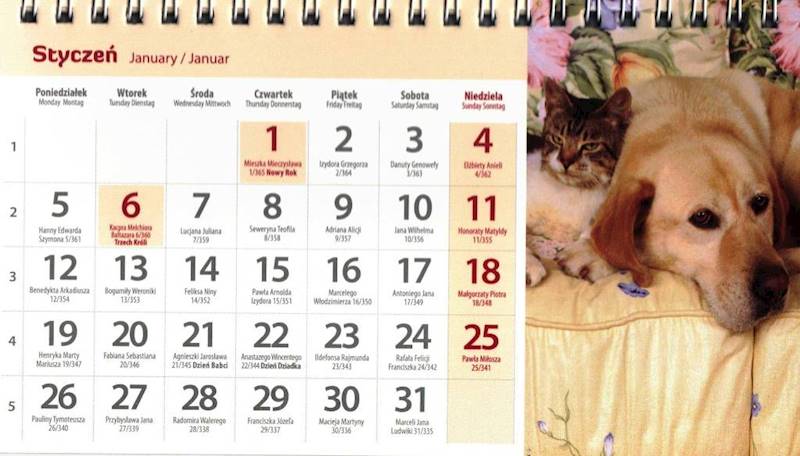 Kalendarz 2026 Artsezon biurkowy 19,5x11 Przyjacie