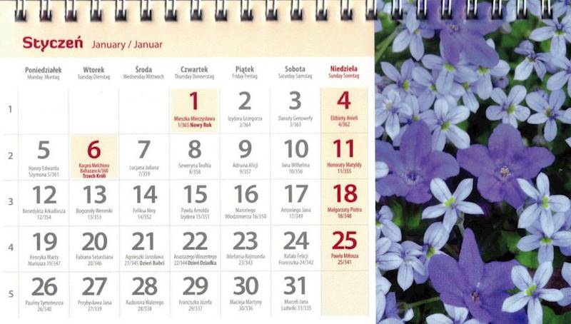 Kalendarz 2026 Artsezon biurkowy 19,5x11 Kwiaty