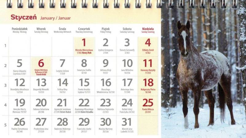 Kalendarz 2026 Artsezon biurkowy 19,5x11 Konie