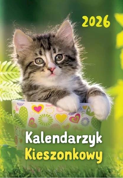 Kalendarz 2026 Artsezon Kieszonkowy A7 Kotek