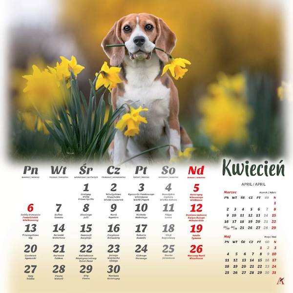 Kalendarz 2026 Artsezon 33x33 Psy