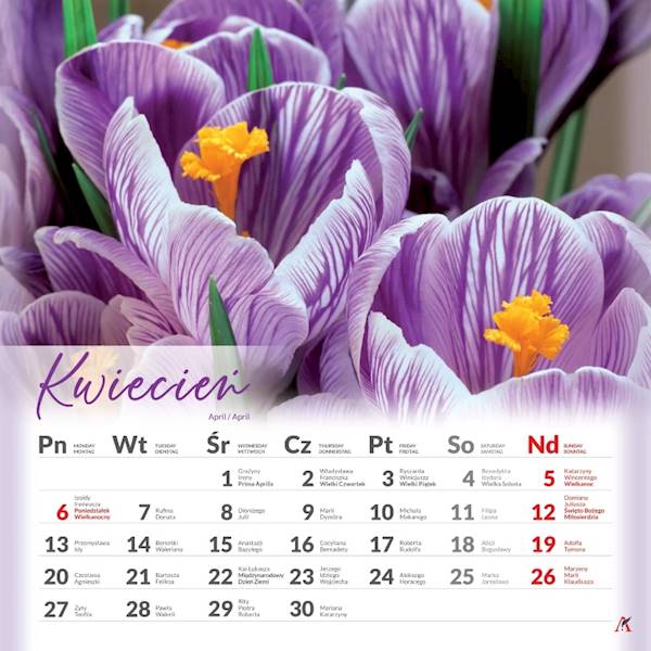 Kalendarz 2026 Artsezon 33x33 Kwiaty