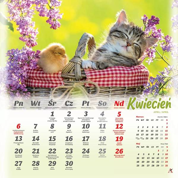 Kalendarz 2026 Artsezon 33x33 Koty