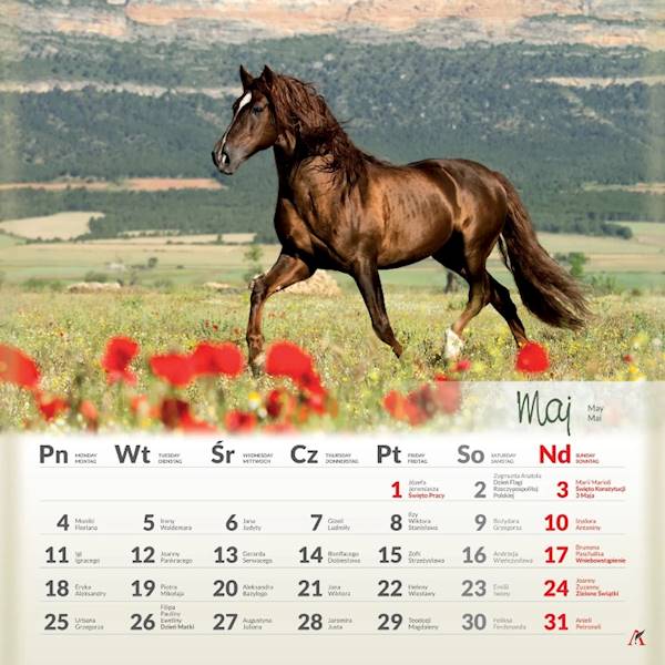 Kalendarz 2026 Artsezon 33x33 Konie