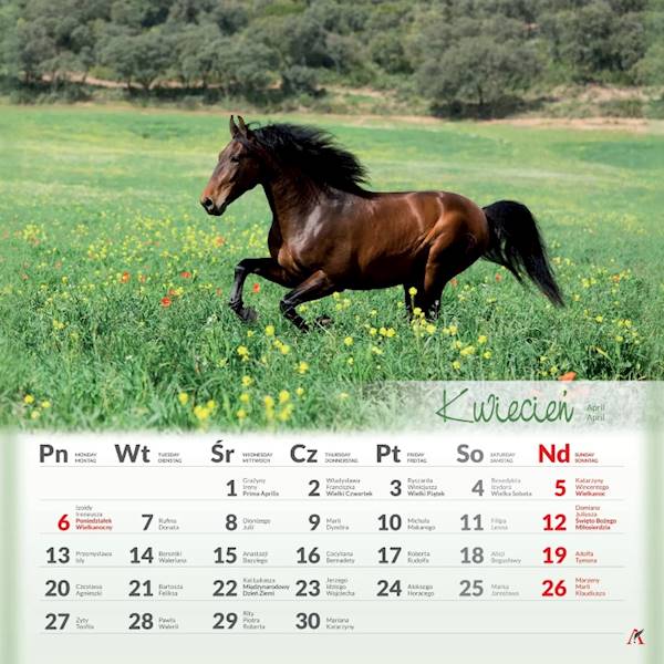 Kalendarz 2026 Artsezon 33x33 Konie