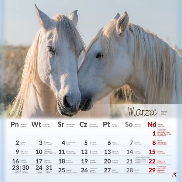 Kalendarz 2026 Artsezon 33x33 Konie