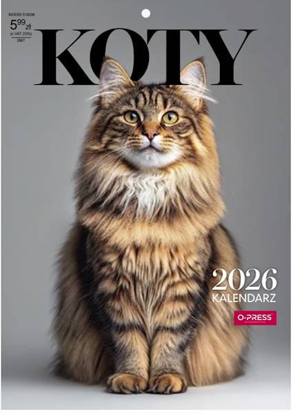 Kalendarz 2026 O-press A4 Ścienny Koty