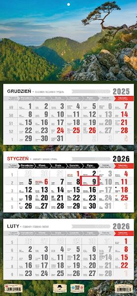 Kalendarz 2026 PK Ścienny Trójdzielny. Sokolnica